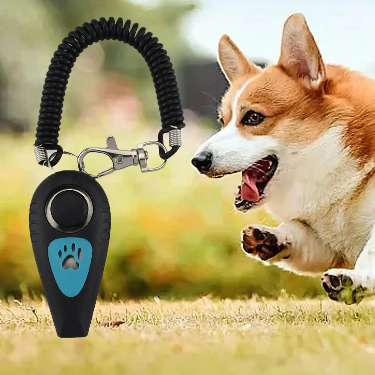TAILSOFHOME 2-in-1 Pet Training Clicker and Dog Whistle