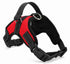 TAILSOFHOME Adjustable Breathable Dog Harness for Outdoor Walks