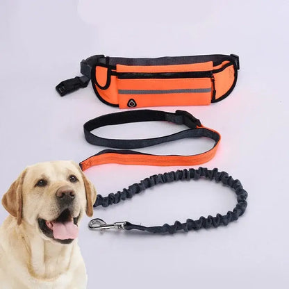 TAILSOFHOME Hands-Free Reflective Dog Leash with Waist Bag