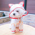 TAILSOFHOME transparent cat carrier backpack for small pets and puppies