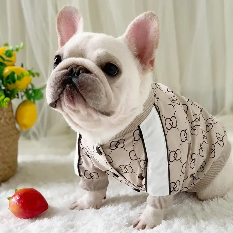 TAILSOFHOME Luxury Warm Winter Dog Jacket for Big Dogs