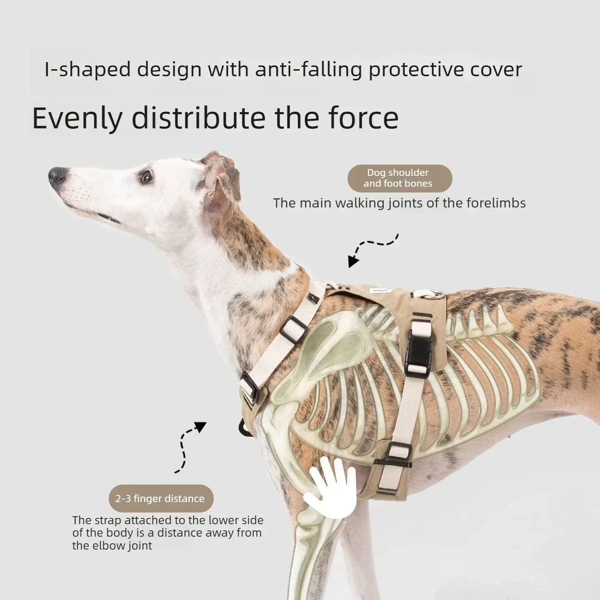 TAILSOFHOME Lightweight Breathable No-Pull Mesh Dog Harness