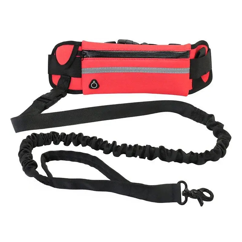 TAILSOFHOME Hands-Free Reflective Dog Leash with Waist Bag