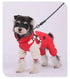 TAILSOFHOME transparent cat carrier backpack for small pets and puppies