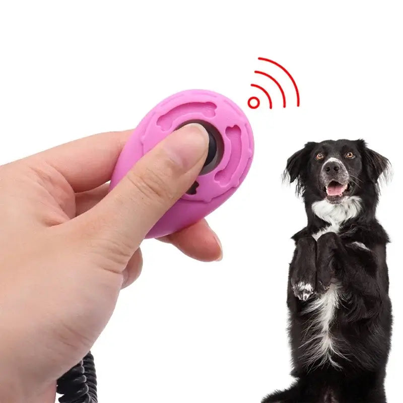 TAILSOFHOME Interactive Snuffle Squeaky Treat Dispenser Dog Toy