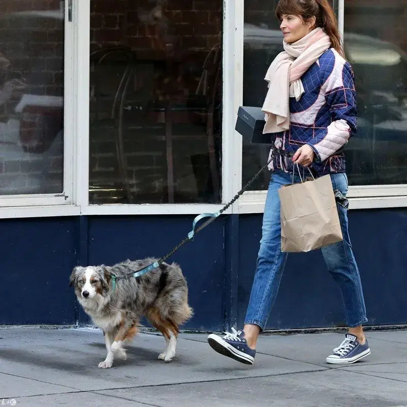 TAILSOFHOME Retractable Hands-Free Reflective Dog Leash
