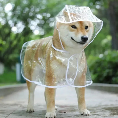 TAILSOFHOME transparent cat carrier backpack for small pets and puppies