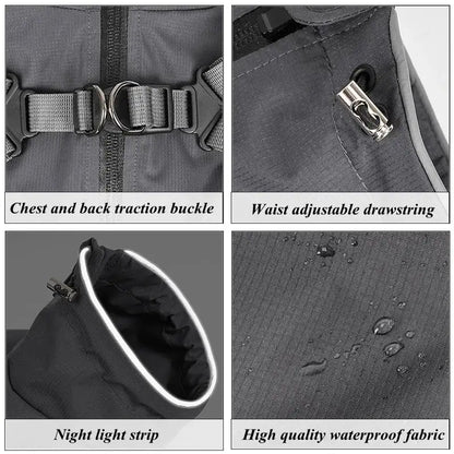 TAILSOFHOME transparent cat carrier backpack for small pets and puppies