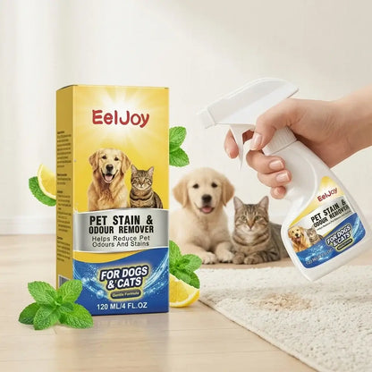 TAILSOFHOME Pet Urine Stain and Odour Remover Spray