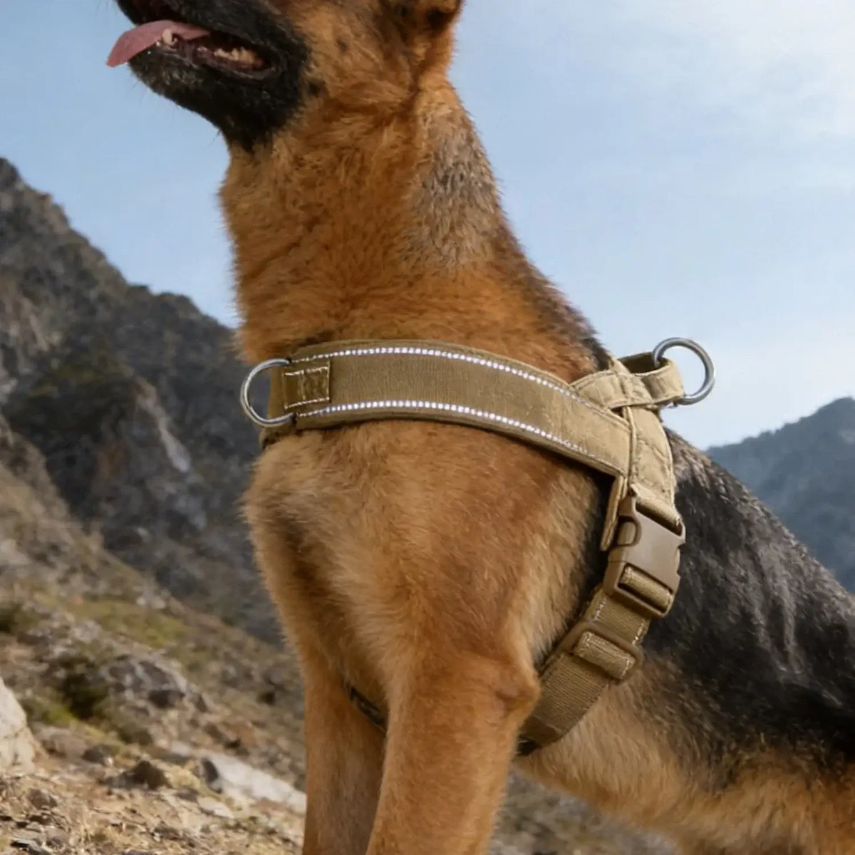TAILSOFHOME Tactical No-Pull Reflective Dog Harness for Large Dogs