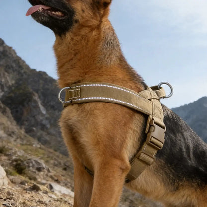 TAILSOFHOME Tactical No-Pull Reflective Dog Harness for Large Dogs