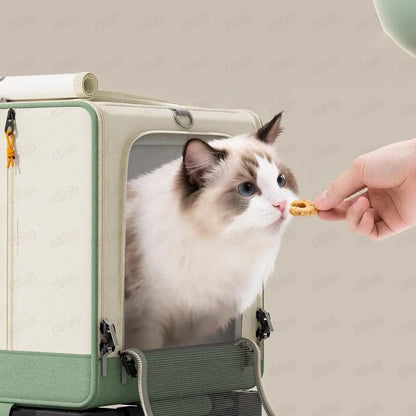 TAILSOFHOME Your Privacy Choices and Data Preferences