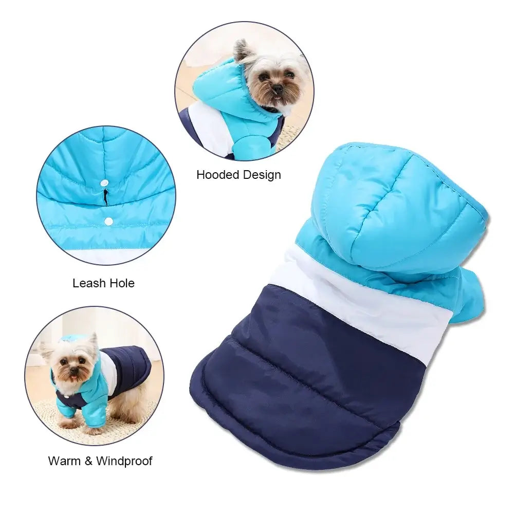 TAILSOFHOME transparent cat carrier backpack for small pets and puppies