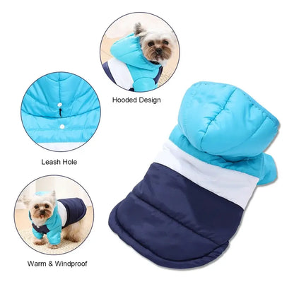 TAILSOFHOME transparent cat carrier backpack for small pets and puppies