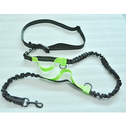TAILSOFHOME Retractable Hands-Free Reflective Dog Leash