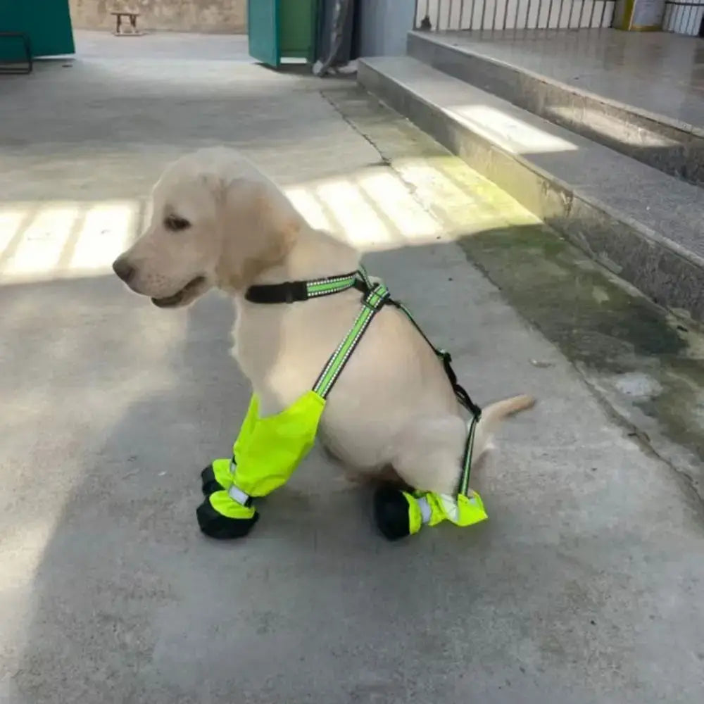 TAILSOFHOME Reflective Waterproof Anti-Slip Dog Boots