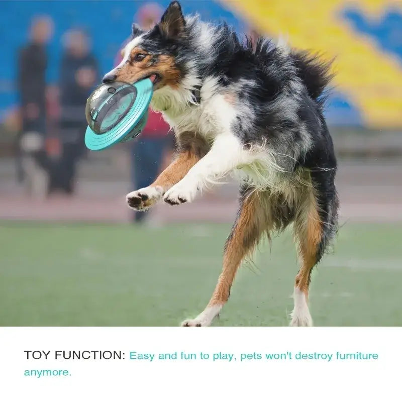 TAILSOFHOME Interactive Food Dispensing Puzzle Ball for Dogs