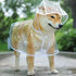 TAILSOFHOME transparent cat carrier backpack for small pets and puppies