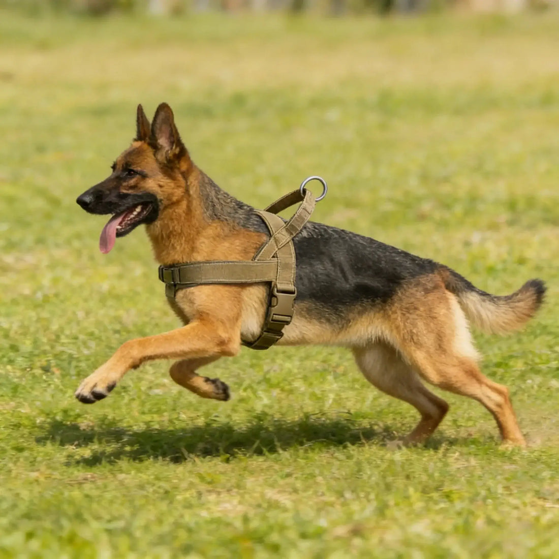 TAILSOFHOME Tactical No-Pull Reflective Dog Harness for Large Dogs
