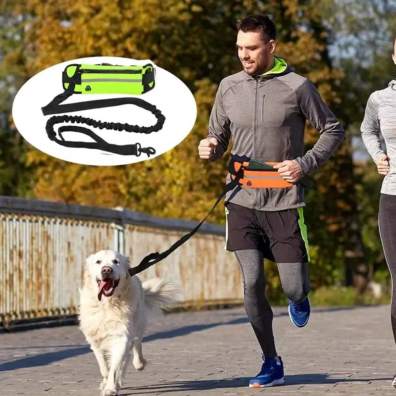 TAILSOFHOME Hands-Free Reflective Dog Leash with Waist Bag