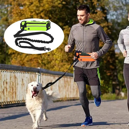 TAILSOFHOME Hands-Free Reflective Dog Leash with Waist Bag