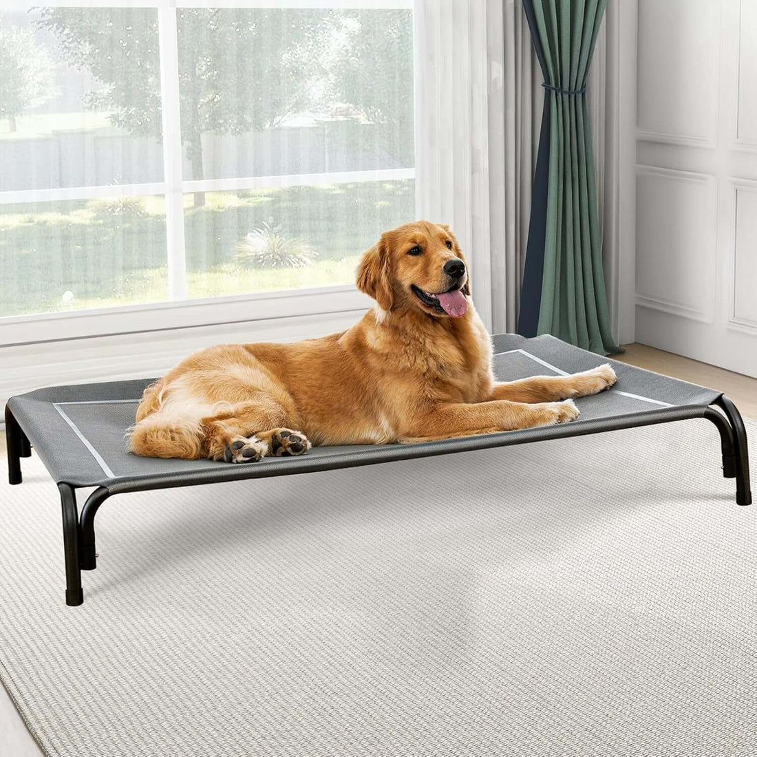 Elevated Dog CTAILSOFHOME Smart Wireless Pet Water Fountain 3Looling Bed