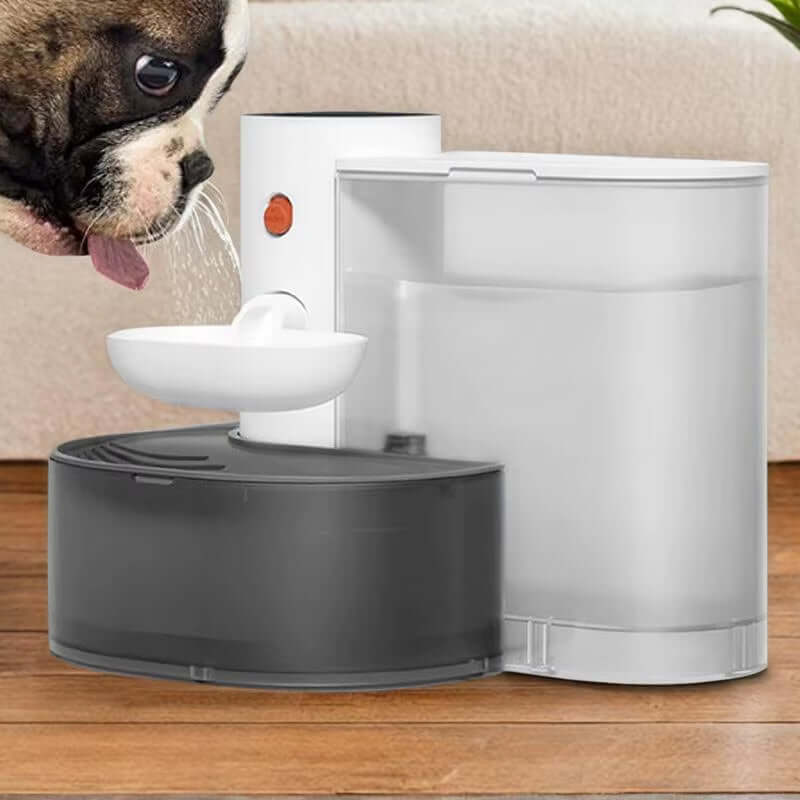 Smart Wireless FountaTAILSOFHOME Smart Wireless 3L Automatic Pet Water FountainTAILSOFHOME Smart Wireless 3L Automatic Pet Water Fountainin – 3L Automatic Water Dispenser for Cats &amp; Small Pets