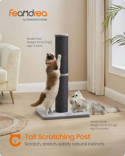Cat Scratching TAILSOFHOME transparent cat carrier backpack for small pets and puppiesPost Sisal