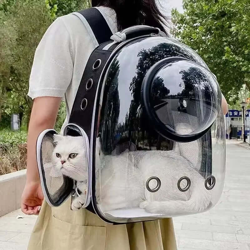 Portable Cat Pet Carrier BTAILSOFHOME transparent cat carrier backpack for small pets and puppiesackpack Transparent Capsule Bubble Pet Backpack Small Animal Puppy Kitty Breathable Carrier for Travel