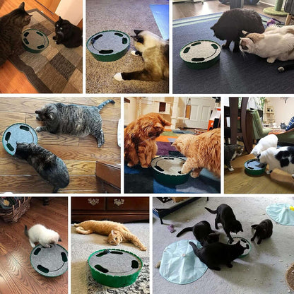 Interactive Electronic CTAILSOFHOME Interactive Electronic Cat Toy for Catsat Toy