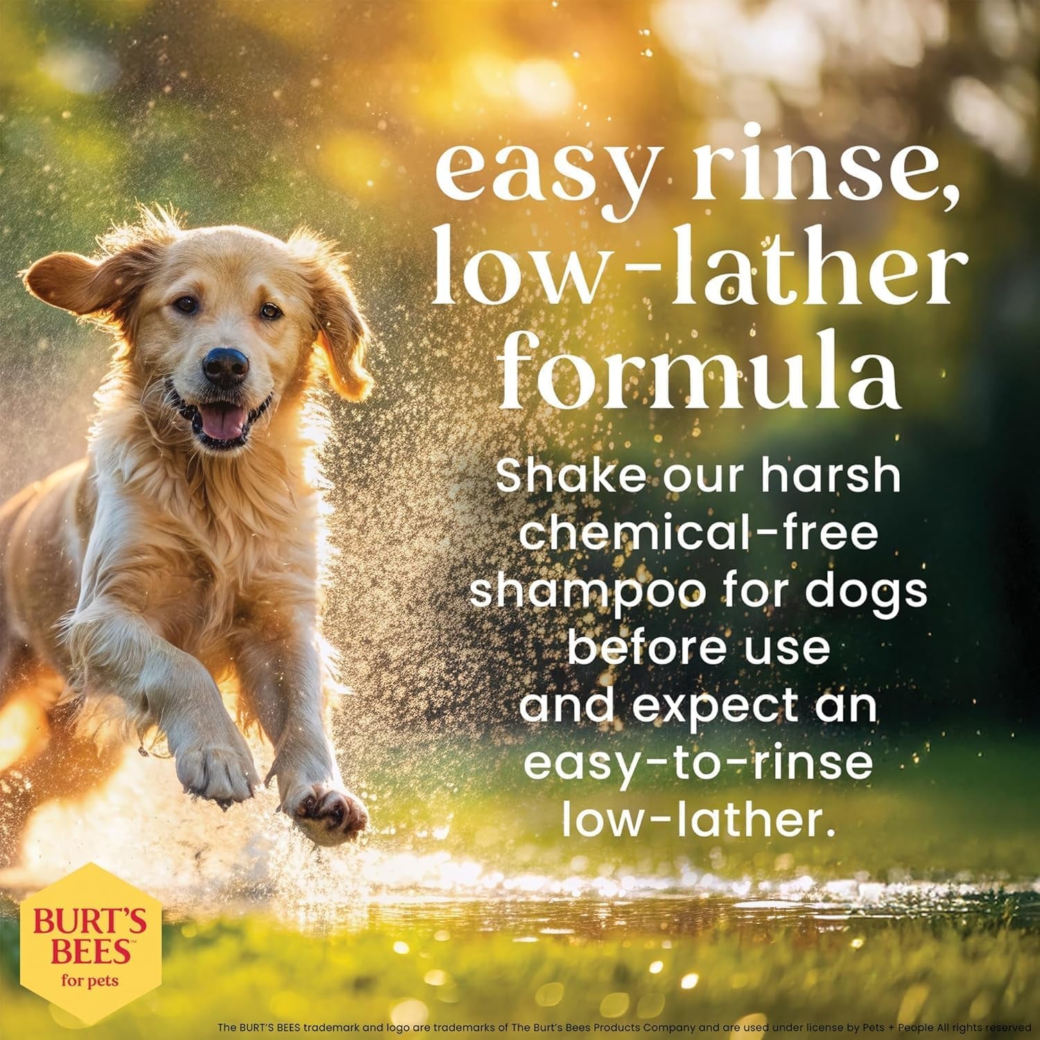 Deodorizing Dog Shampoo Apple Rosemary 95 Percent Natural Ph Balanced Sulfate-Free Smelly Dogs 16 FL OZ 2 Pack