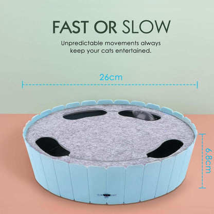 Interactive Electronic Cat ToyTAILSOFHOME Interactive Electronic Cat Toy for Cats