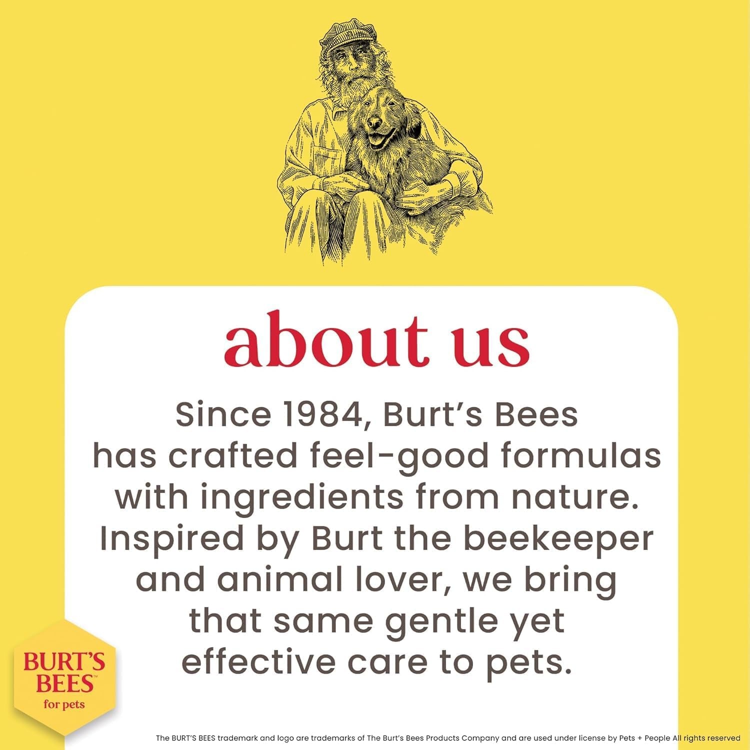 Deodorizing Dog Shampoo Apple Rosemary 95 Percent Natural Ph Balanced Sulfate-Free Smelly Dogs 16 FL OZ 2 Pack