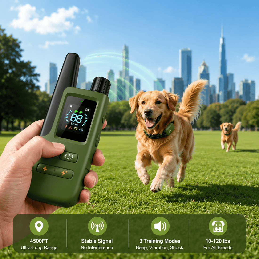 TAILSOFHOME Remote Control Dog Training Collar