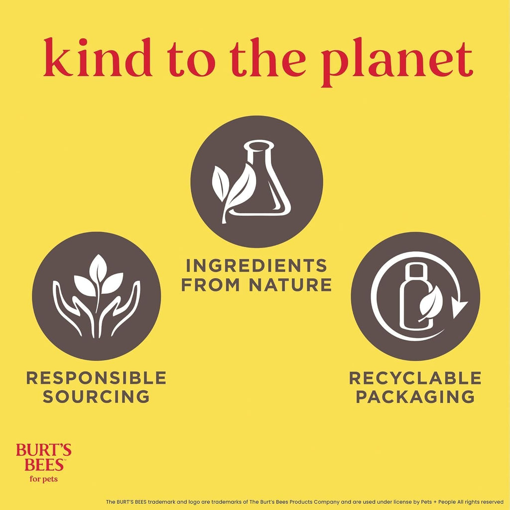 Deodorizing Dog Shampoo Apple Rosemary 95 Percent Natural Ph Balanced Sulfate-Free Smelly Dogs 16 FL OZ 2 Pack