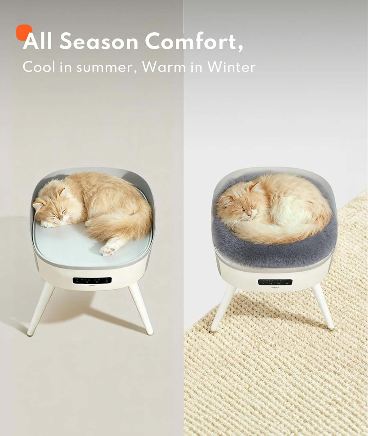 Pet Heated Cat BeTAILSOFHOME Smart Wireless Pet Water Fountain 3Ld Heater
