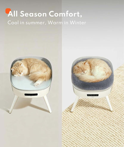 Pet Heated Cat BeTAILSOFHOME Smart Wireless Pet Water Fountain 3Ld Heater